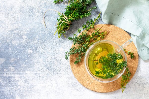 Comment conserver les plantes à vertus thérapeutiques ?