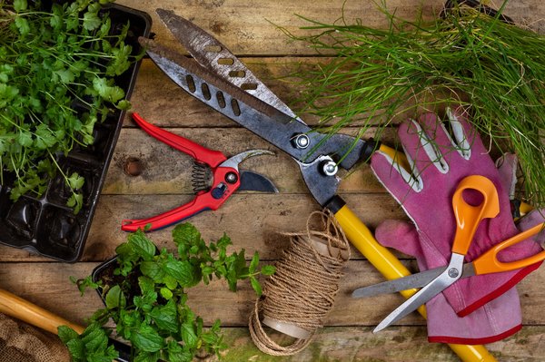 Quels outils indispensables au jardin ?